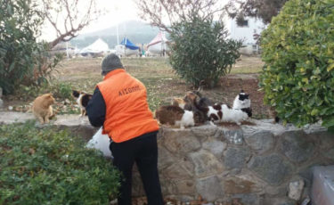 Αίσωπος Φιλοζωικό Σωματείο -1oraΑίσωπος Φιλοζωικό Σωματείο -1ora