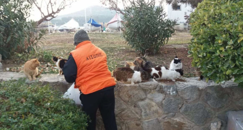 Αίσωπος Φιλοζωικό Σωματείο -1oraΑίσωπος Φιλοζωικό Σωματείο -1ora