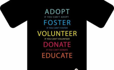 Αίσωπος Φιλοζωικό Σωματείο -1ora