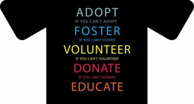 Αίσωπος Φιλοζωικό Σωματείο -1ora