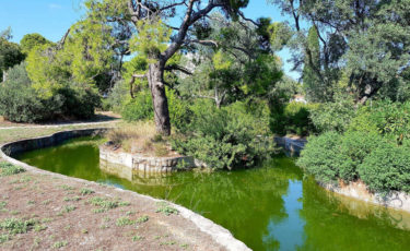 Φίλοι Δάσους Συγγρού - 1ora