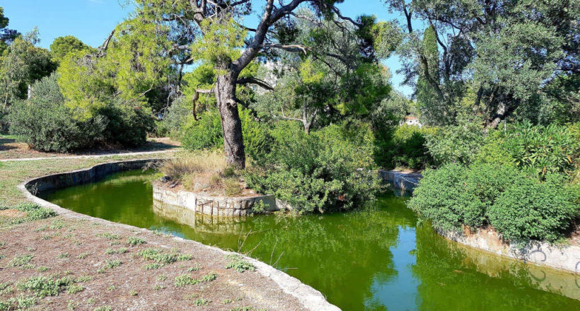 Φίλοι Δάσους Συγγρού - 1ora