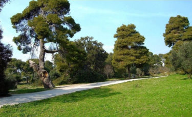 Φίλοι Δάσους Συγγρού - 1ora