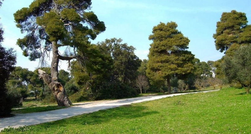 Φίλοι Δάσους Συγγρού - 1ora