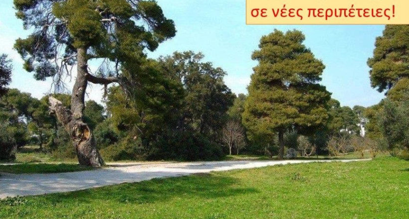 Φίλοι Δάσους Συγγρού - 1ora