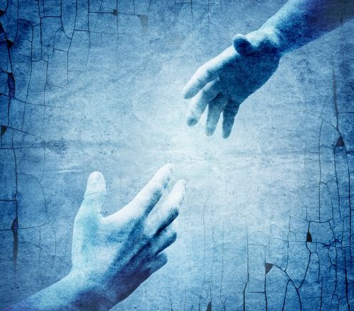 Καταφύγιο Αγάπης & Συμπαράστασης - 1 Ora GR