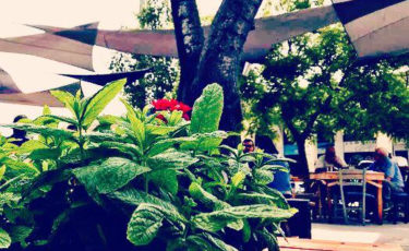 La Petite Cantine Κοιν.Σ.Επ - 1ora