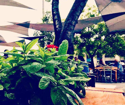 La Petite Cantine Κοιν.Σ.Επ - 1ora