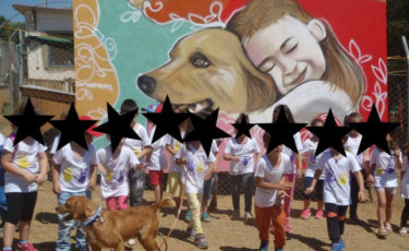 Φιλοζωικός όμιλος Καλαμάτας +βιώνω - 1ora