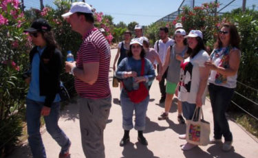 Ένωση Γονέων Νοητικώς Υστερούντων Ατόμων - Mia Ora