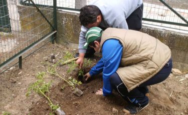 Σύλλογος Γονέων & Κηδεμόνων Ν. Λάρισας - Mia Ora