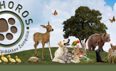 ΖΩΦΟΡΟΣ - Mia Ora