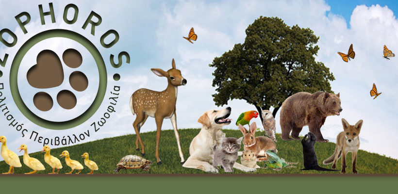 ΖΩΦΟΡΟΣ - Mia Ora